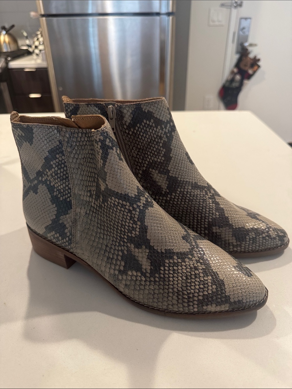Lucky Brand Snake-Print Ankle Booties in Gray and Cream